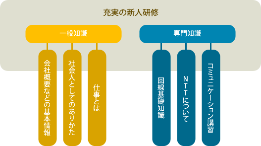 充実の新人研修